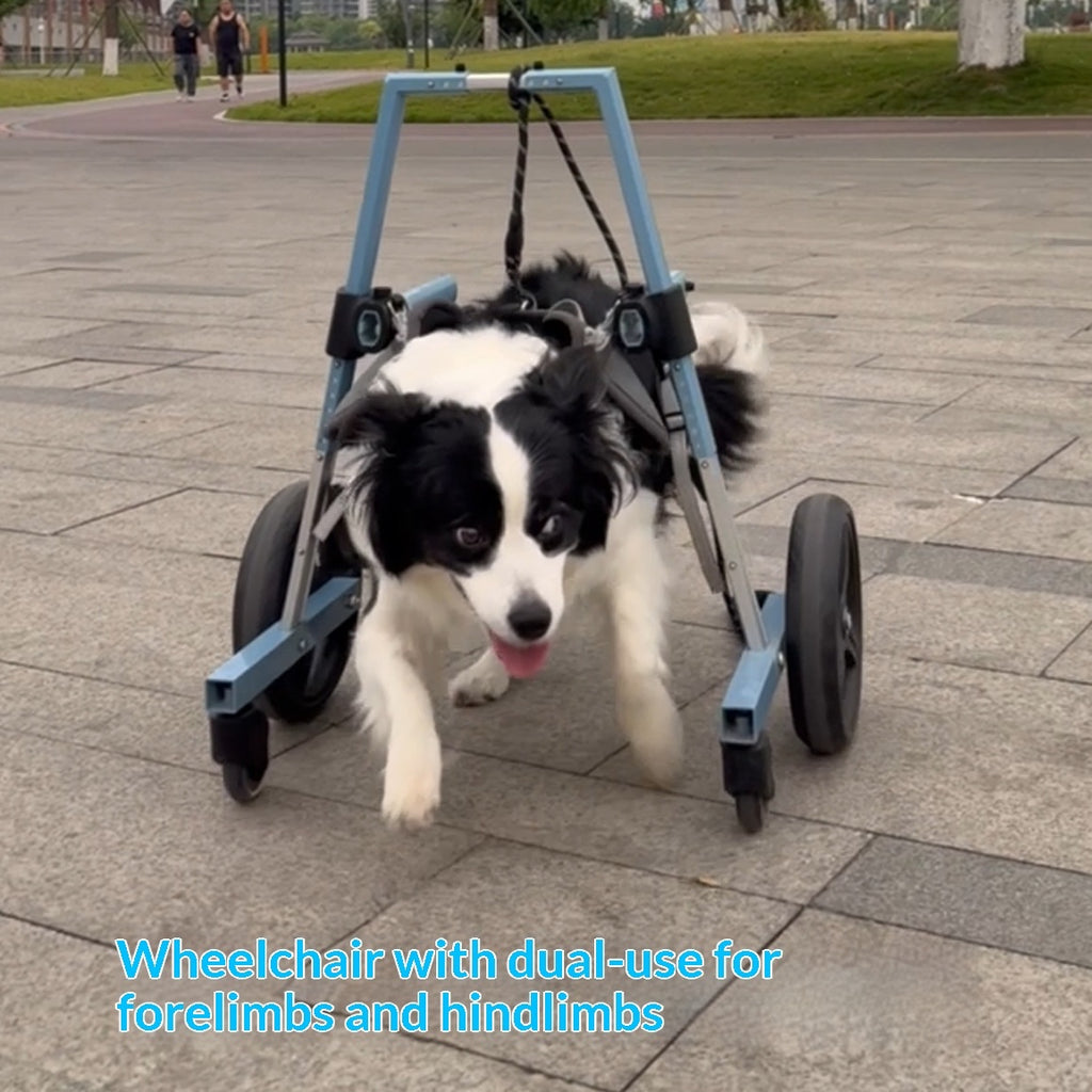 Pet Forelimb Wheelchair Dog Disability Assistive Walker
