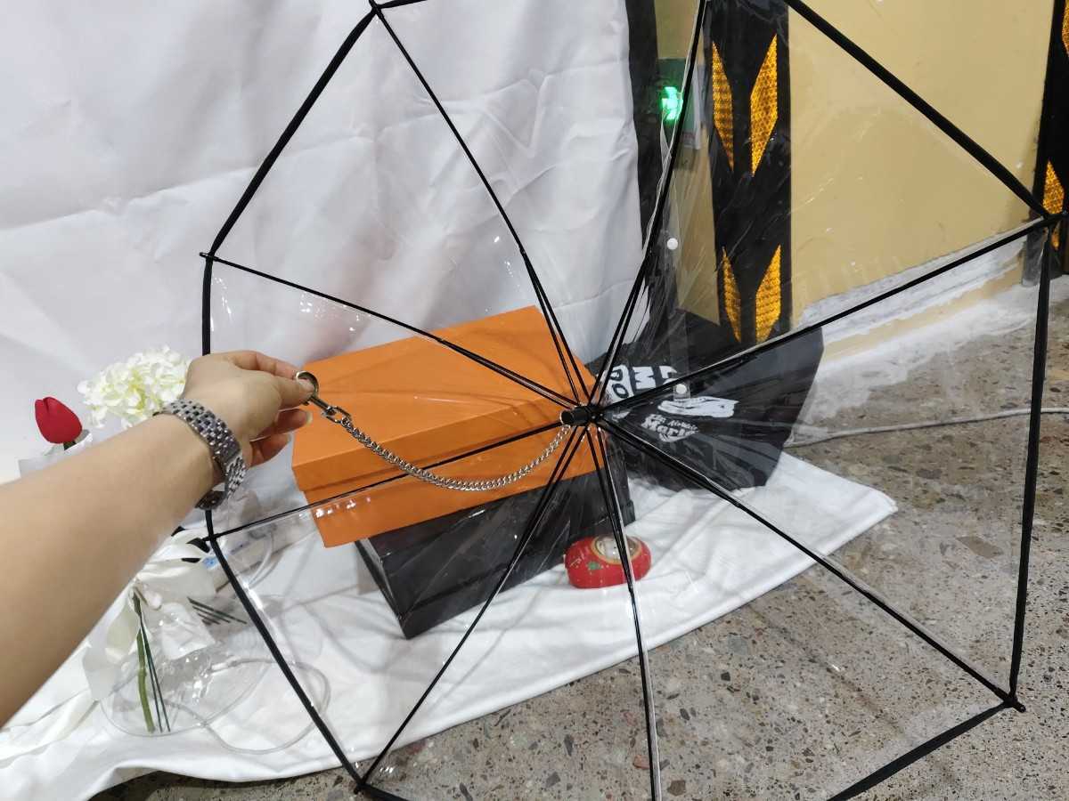 Hot Selling Transparent Pet Supplies Adjustable Pet C Type Umbrella