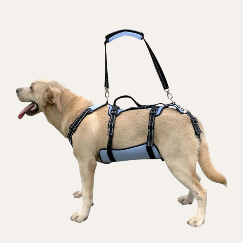 Dog Lift Support Harness